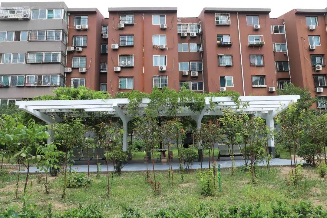 1610961027128441.jpg 1610961027128441.jpg