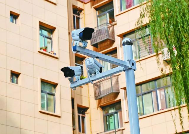 1691052057650074.jpeg edc784abb4538ea4d0180e27370a64a2.jpeg