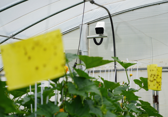 1761123862449684.png 火狐截图_2025-10-22T09-04-05.664Z.png